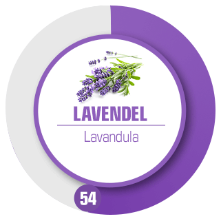 mellannot Lavendel styrka 54