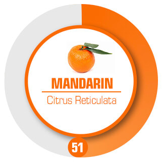 Mellannot Mandarin Styrka 51
