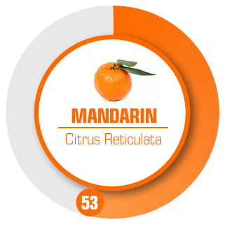Toppnot Mandarin Styrka 53