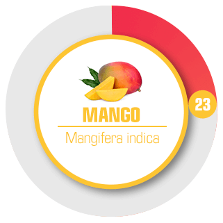 Toppnot Mango Styrka 23