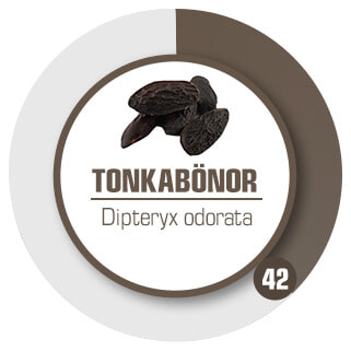 Toppnot Tonkabönor Styrka 42