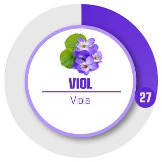 mellannot viol styrka 27